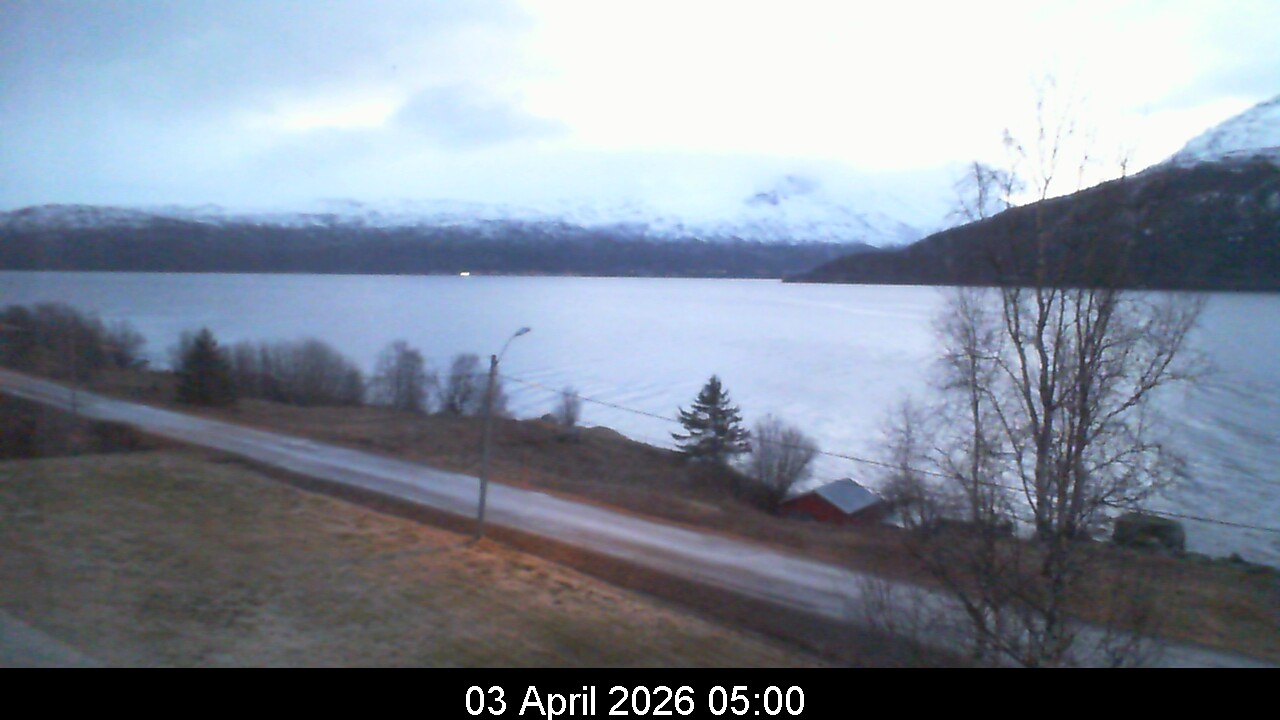 Webcam Image 5